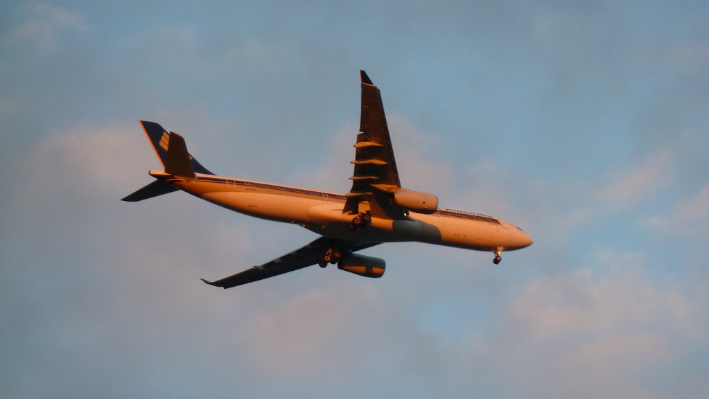 Airplane in the sky